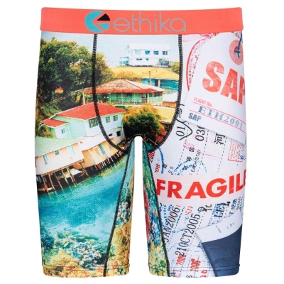 Ethika Fly Out Staple Underwear Herr Olika Färger | BOU849062