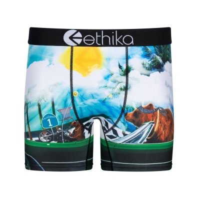 Ethika Good Day Mid Boxers Herr Blå | HIQ840316