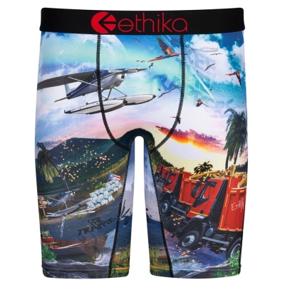 Ethika Isla De Encanto Staple Underwear Herr Olika Färger | LNU496085