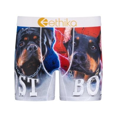 Ethika Lost Mid Boxers Herr Grå | QVA256834