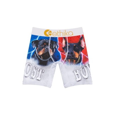 Ethika Lost Staple Underkläder Pojke Grå | VNF914805