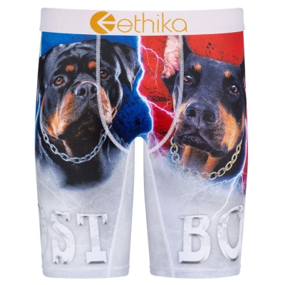 Ethika Lost Staple Underwear Herr Grå | ZRV529073