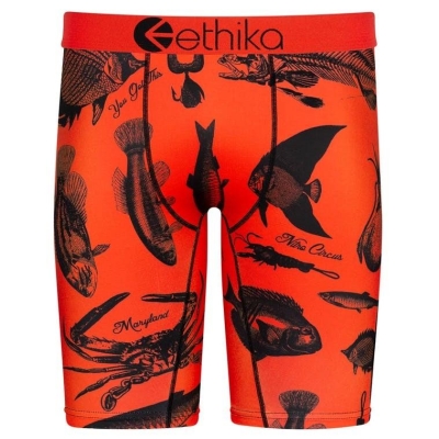 Ethika Maryland Staple Underwear Herr Orange | GZY219673