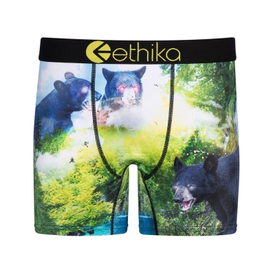 Ethika My Time Mid Boxers Herr Gröna | WSF906328