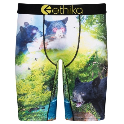 Ethika My Time Staple Underwear Herr Gröna | IUP235710