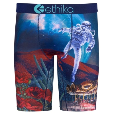 Ethika Sicko Staple Underwear Herr Olika Färger | TWL213947