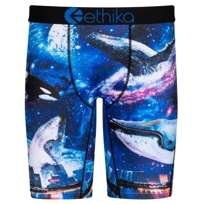 Ethika Space Whale Staple Underwear Herr Marinblå | GYQ107264