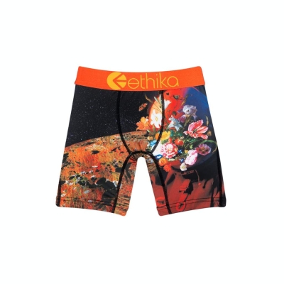 Ethika Superbloom Staple Underkläder Pojke Svarta | HQF891302