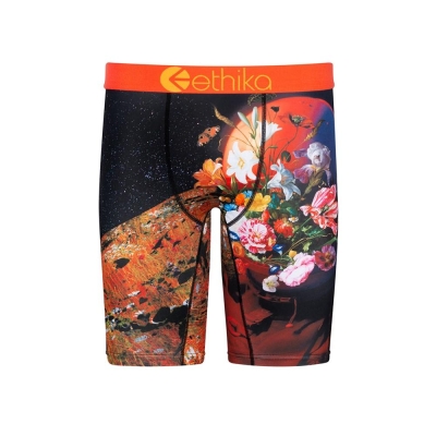 Ethika Superbloom Staple Underkläder Pojke Svarta | JRL869420