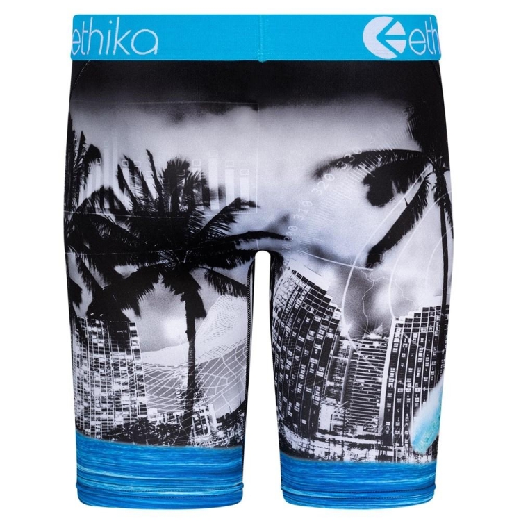 Ethika 5-0 Staple Underwear Herr Vita Blå | YZS791482