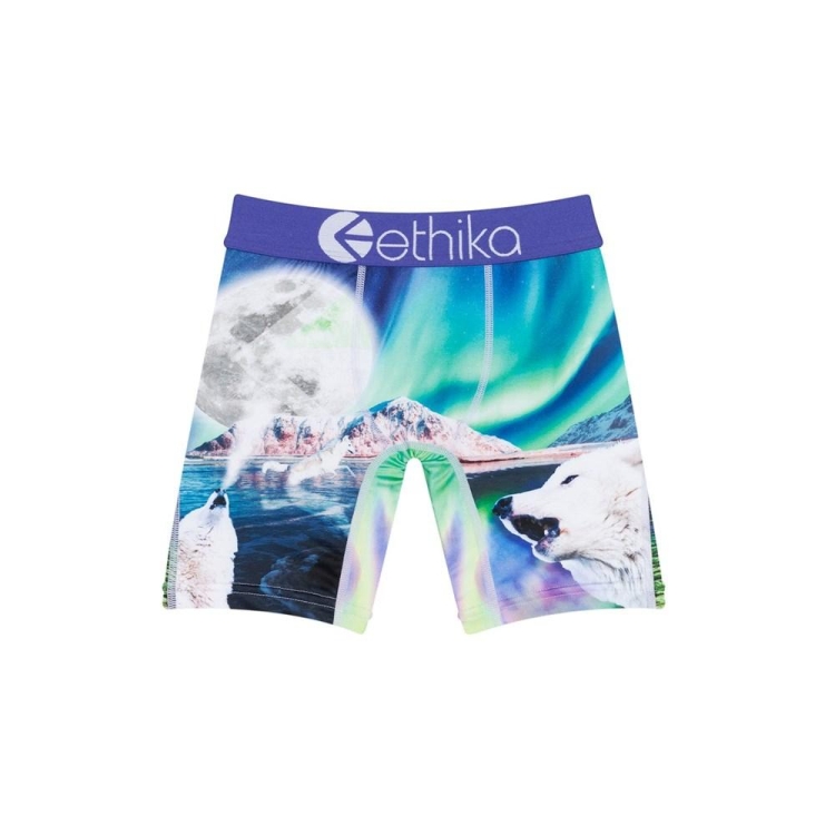 Ethika Aurora Wolves Staple Underkläder Pojke Olika Färger | DLJ856173