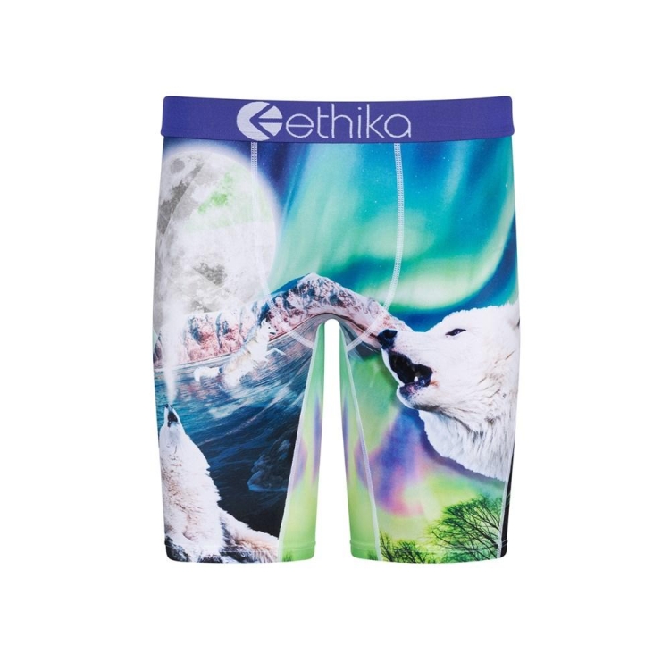 Ethika Aurora Wolves Staple Underkläder Pojke Olika Färger | NWM841205