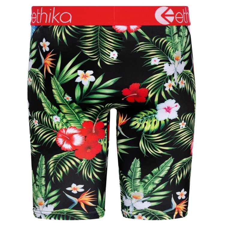 Ethika Bomber Beach Bum Staple Underwear Herr Olika Färger | SPA758023