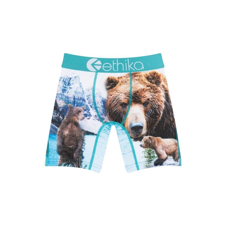 Ethika Brother Bears Staple Underkläder Pojke Vita | PCT825617