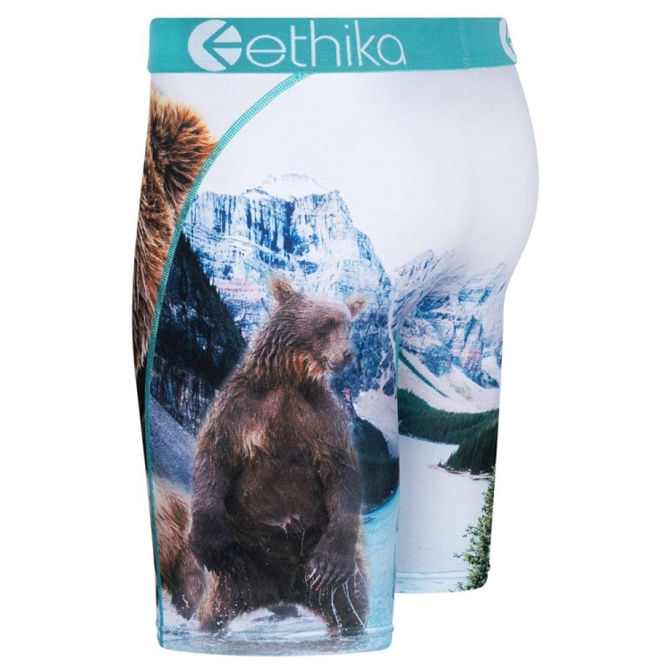 Ethika Brother Bears Staple Underwear Herr Vita | KJM321597