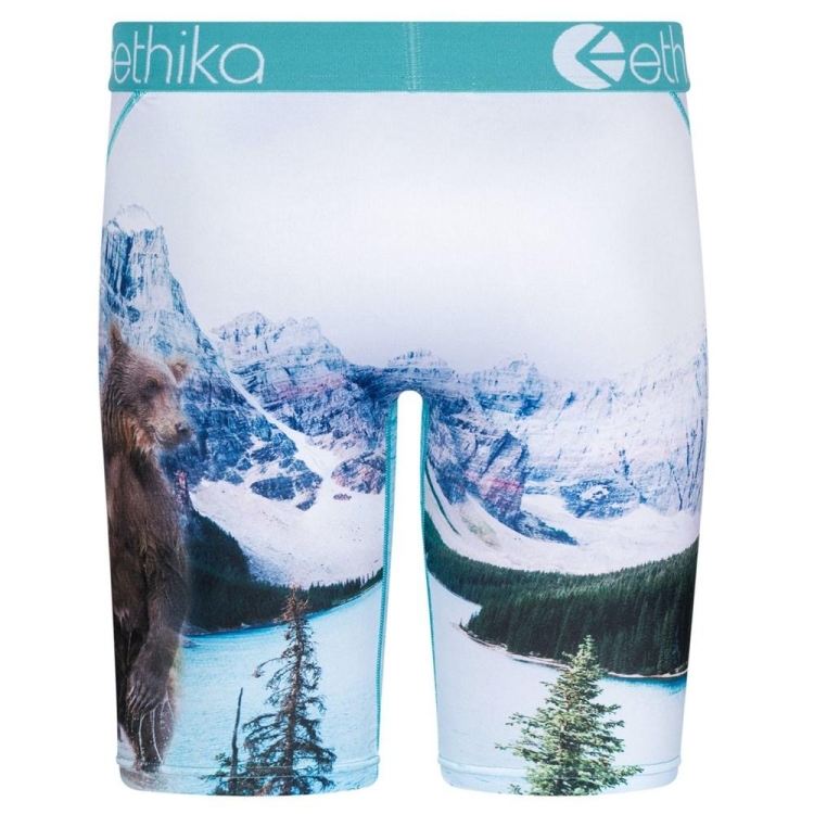 Ethika Brother Bears Staple Underwear Herr Vita | KJM321597