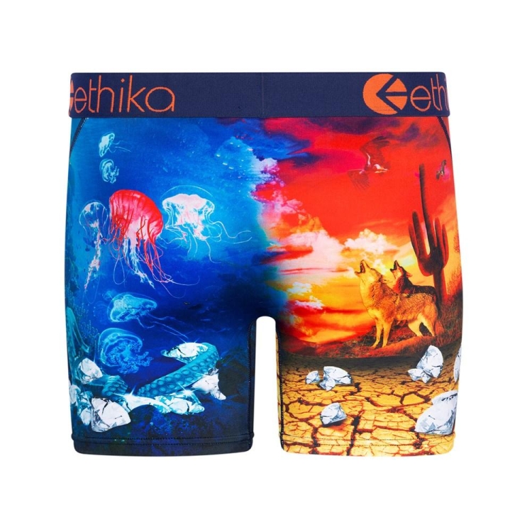 Ethika Diamond In The Rough Mid Boxers Herr Olika Färger | DAM524631