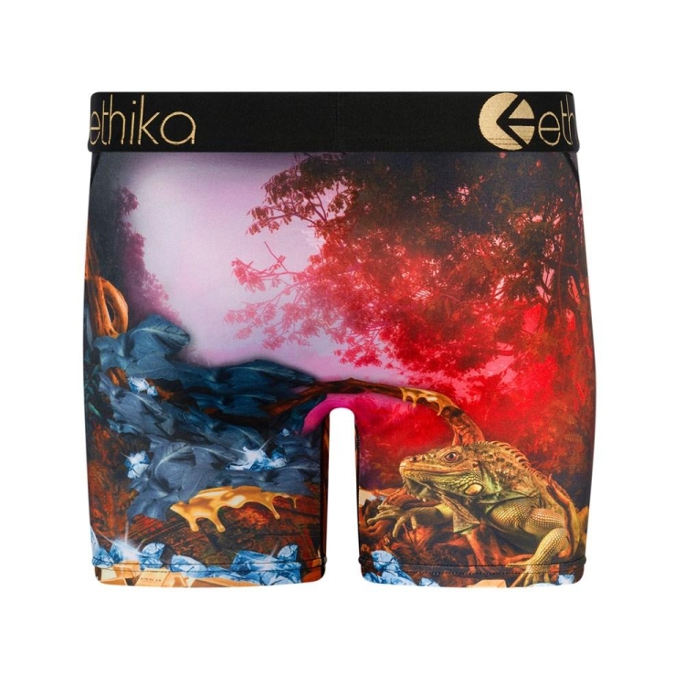 Ethika Dreams Of Bounty Mid Boxers Herr Olika Färger | ACI512907