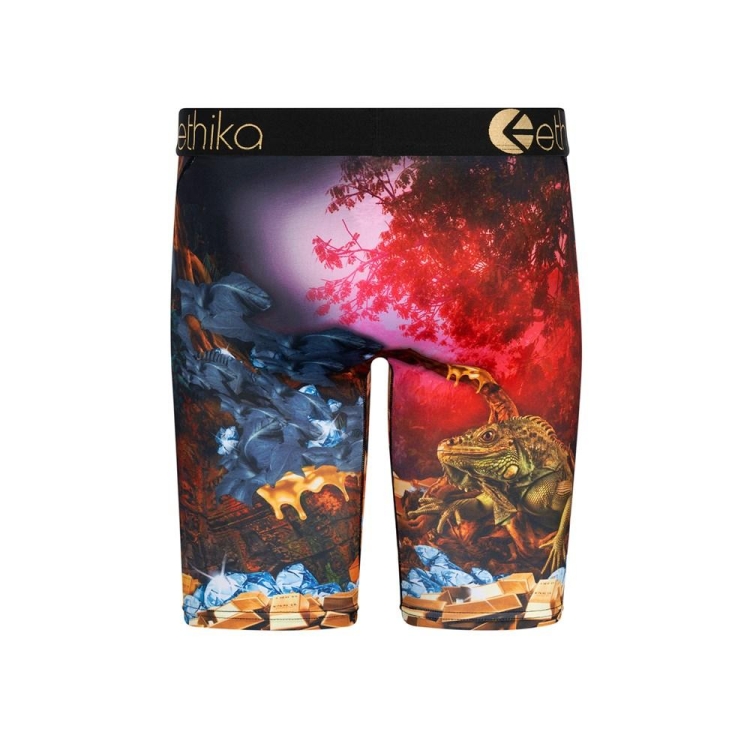 Ethika Dreams Of Bounty Staple Underkläder Pojke Olika Färger | LJX567381