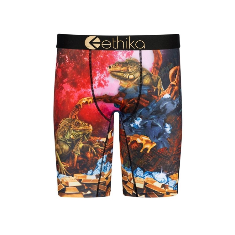 Ethika Dreams Of Bounty Staple Underkläder Pojke Olika Färger | LJX567381