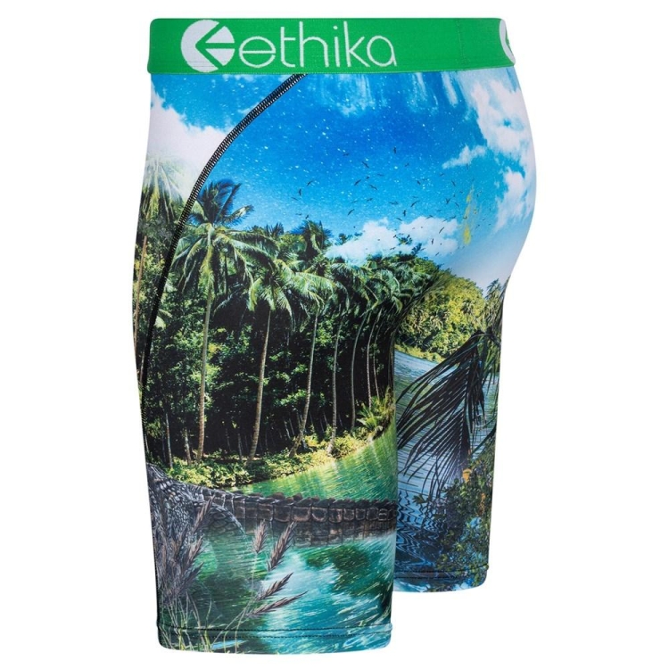 Ethika Dundee Staple Underwear Herr Gröna | OJR813267