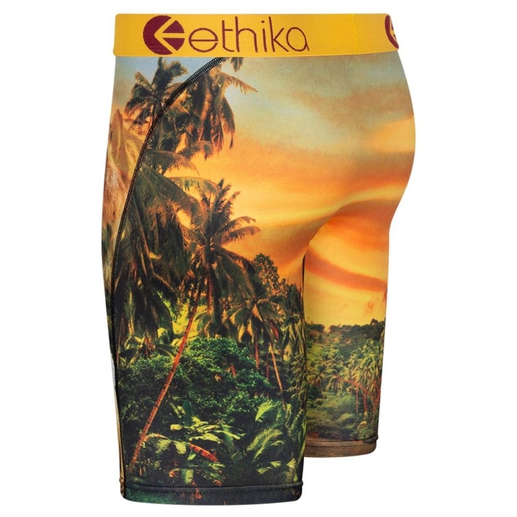 Ethika Easy Tiger Staple Underwear Herr Gula | CLV408396