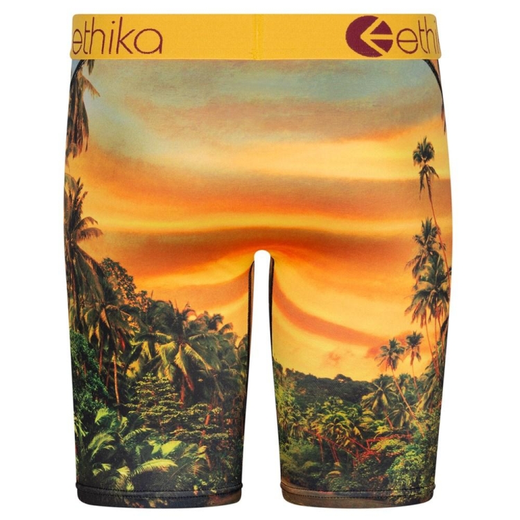 Ethika Easy Tiger Staple Underwear Herr Gula | CLV408396