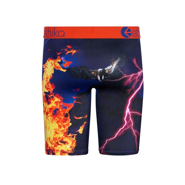 Ethika Flame World Staple Underkläder Pojke Olika Färger | VDL081749