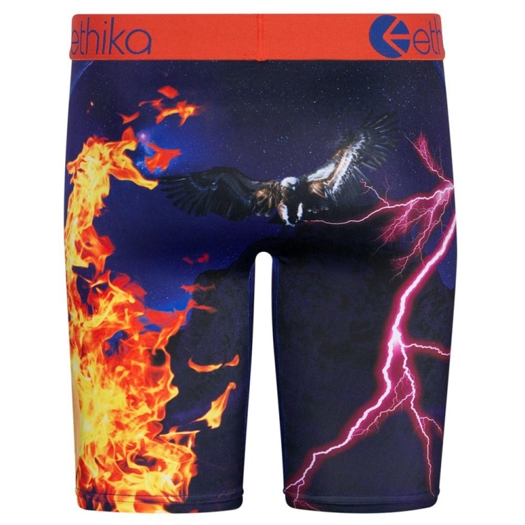 Ethika Flame World Staple Underwear Herr Olika Färger | EJR347025