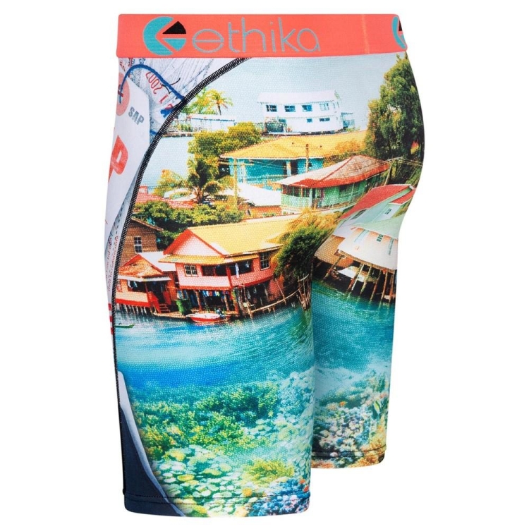 Ethika Fly Out Staple Underwear Herr Olika Färger | BOU849062