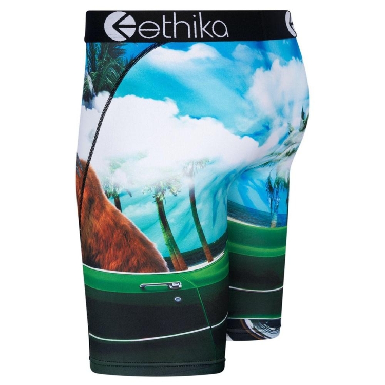 Ethika Good Day Staple Underwear Herr Blå | LQK254869