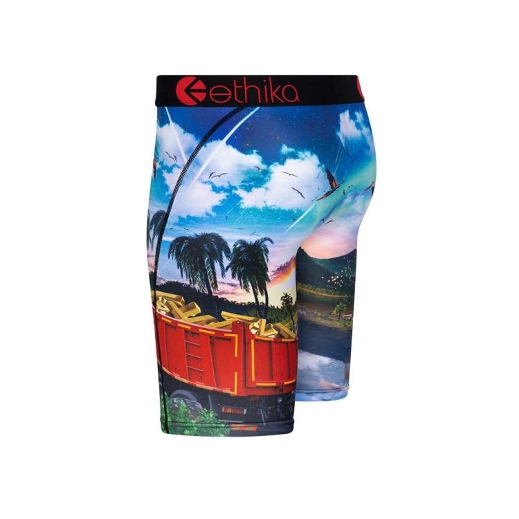 Ethika Isla De Encanto Staple Underkläder Pojke Olika Färger | TEY241350