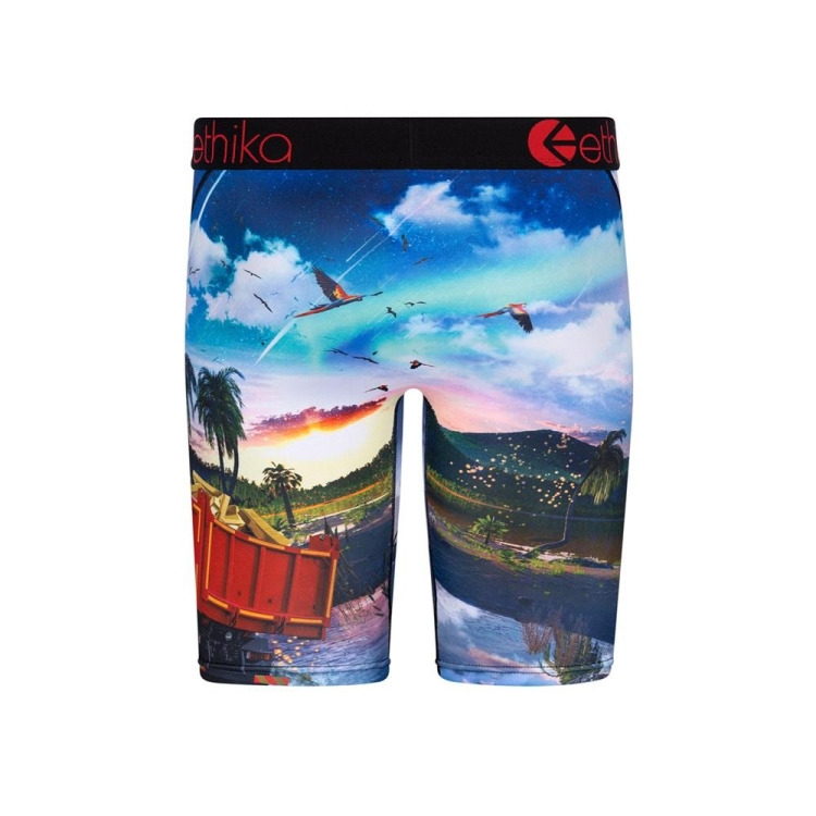 Ethika Isla De Encanto Staple Underkläder Pojke Olika Färger | TEY241350