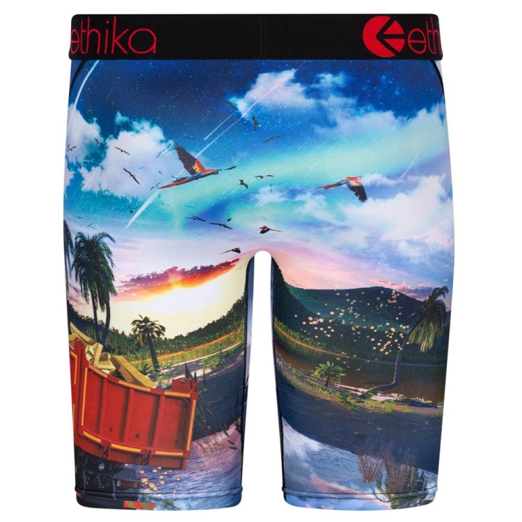 Ethika Isla De Encanto Staple Underwear Herr Olika Färger | LNU496085