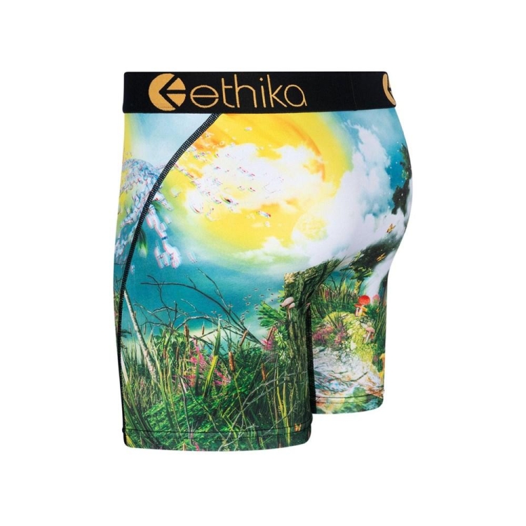 Ethika Lifes a Trip 3D Mid Boxers Herr Olika Färger | VCK156803