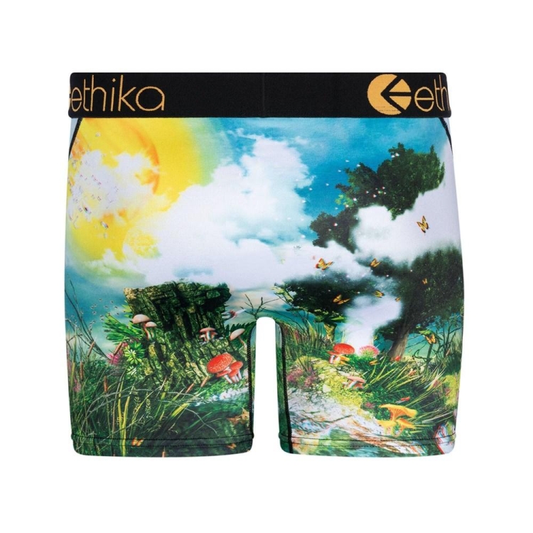 Ethika Lifes a Trip 3D Mid Boxers Herr Olika Färger | VCK156803