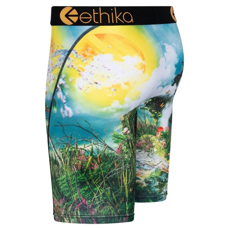 Ethika Lifes a Trip 3D Staple Underwear Herr Olika Färger | SEG302915