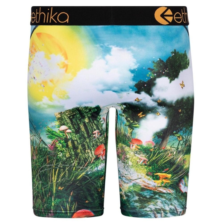 Ethika Lifes a Trip 3D Staple Underwear Herr Olika Färger | SEG302915