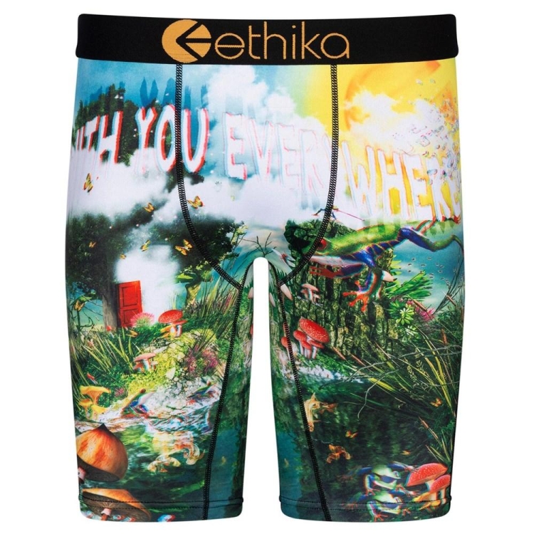 Ethika Lifes a Trip 3D Staple Underwear Herr Olika Färger | SEG302915