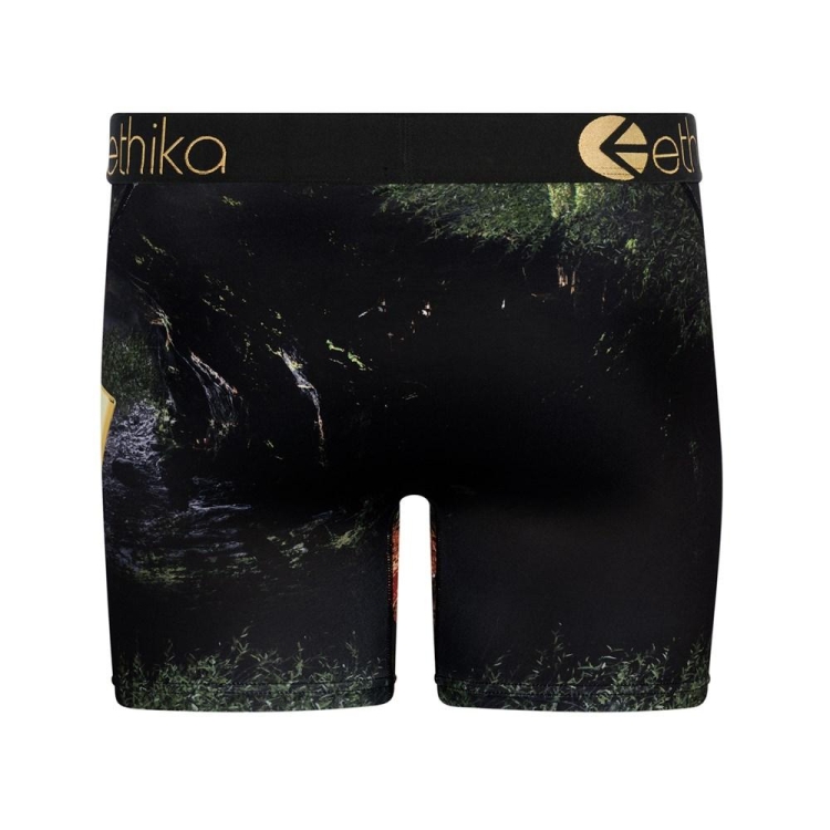 Ethika Lions Den Mid Boxers Herr Svarta | RDA572386