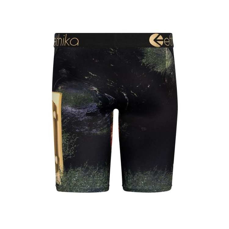 Ethika Lions Den Staple Underkläder Pojke Svarta | LNF051386