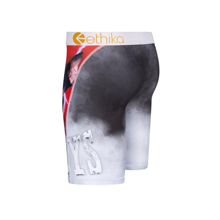 Ethika Lost Staple Underkläder Pojke Grå | RTA270845