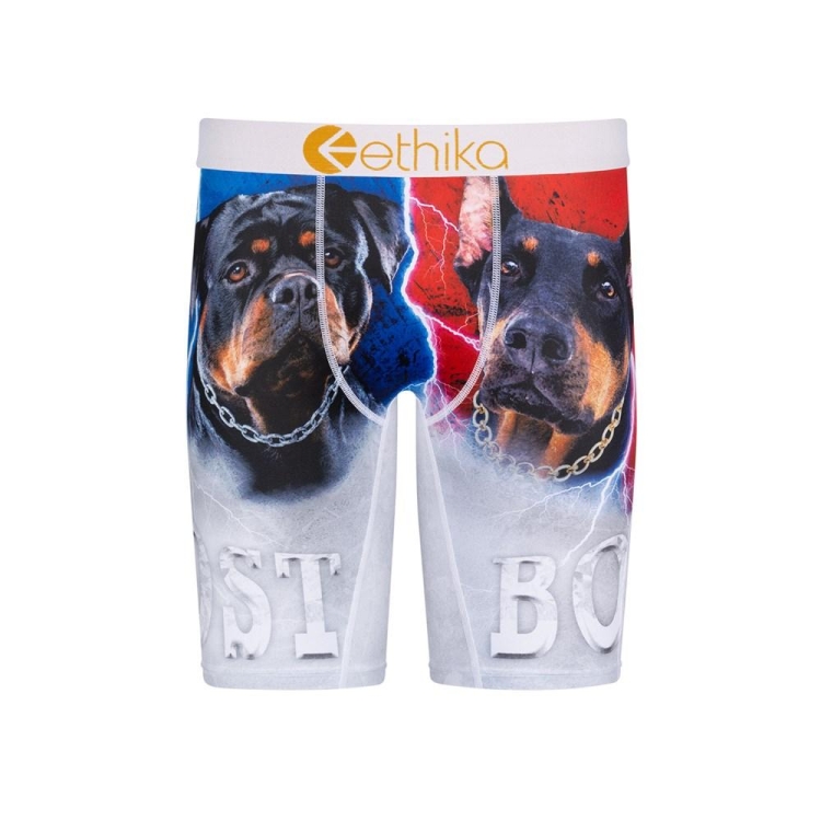 Ethika Lost Staple Underkläder Pojke Grå | RTA270845