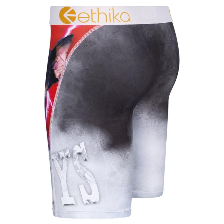 Ethika Lost Staple Underwear Herr Grå | ZRV529073