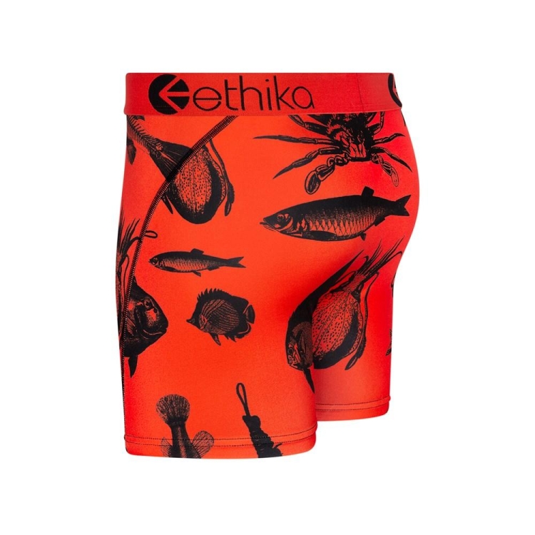 Ethika Maryland Mid Boxers Herr Orange | AIM091342