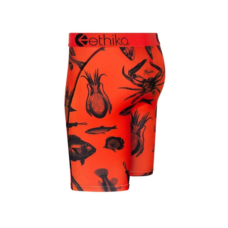 Ethika Maryland Staple Underkläder Pojke Orange | SXP417659