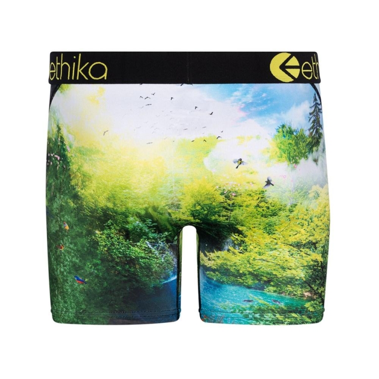 Ethika My Time Mid Boxers Herr Gröna | WSF906328