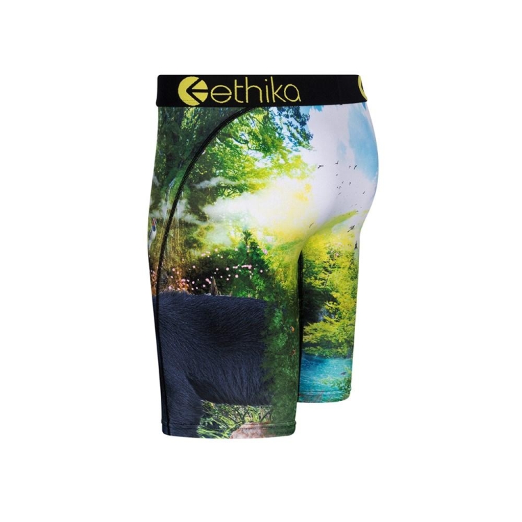 Ethika My Time Staple Underkläder Pojke Gröna | VGN274981