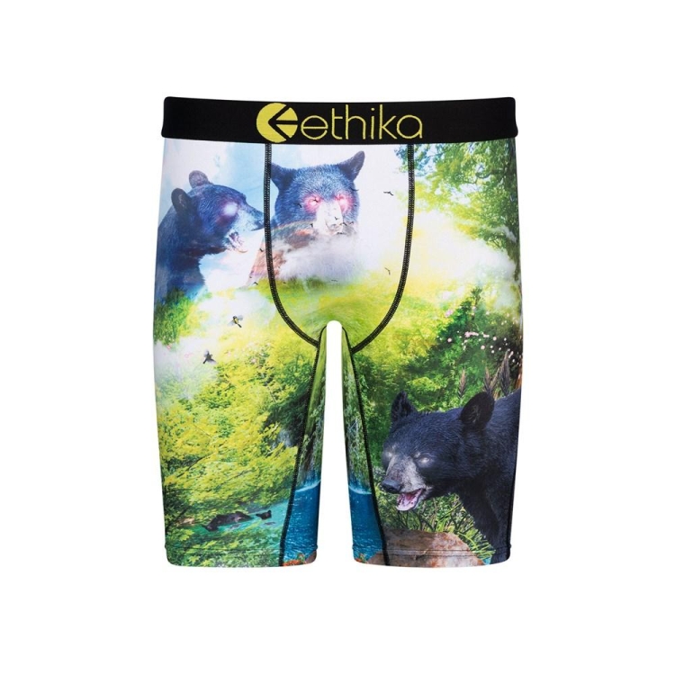 Ethika My Time Staple Underkläder Pojke Gröna | VGN274981