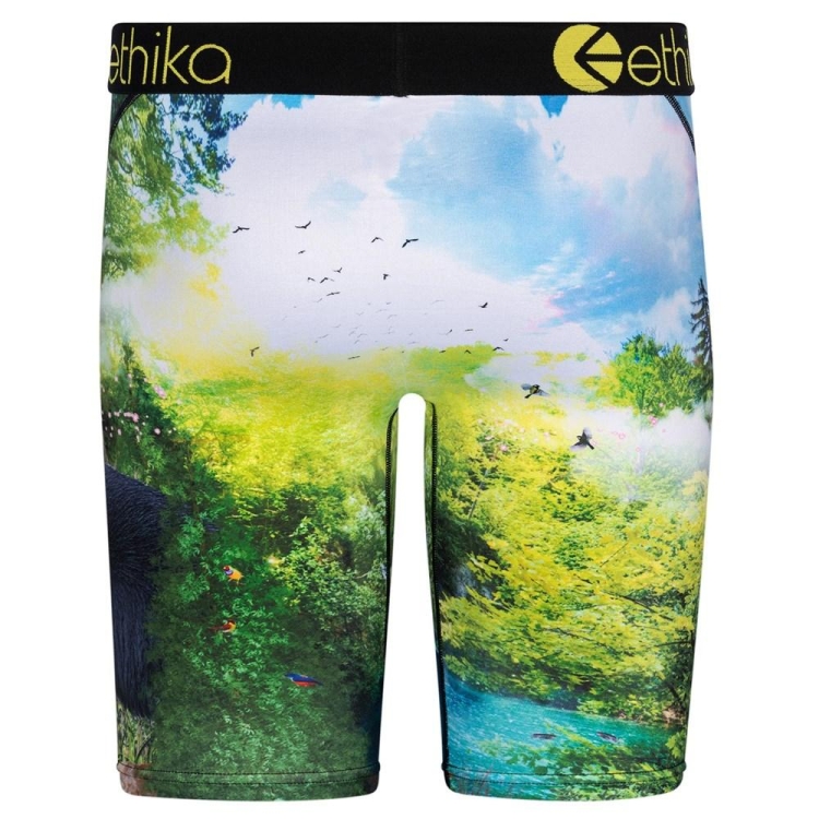 Ethika My Time Staple Underwear Herr Gröna | IUP235710